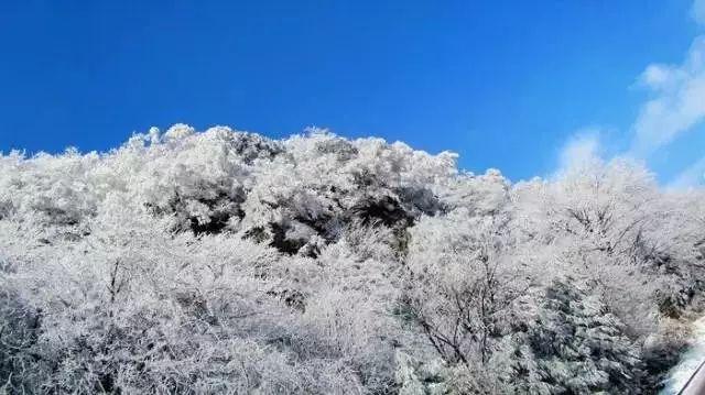 黄忠不惧关羽，为何独独害怕张任？张飞心知肚明，刘备看破不说破